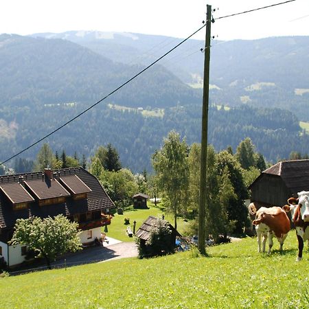 Ferienwohnung Lahnerhof Arriach Eksteriør billede