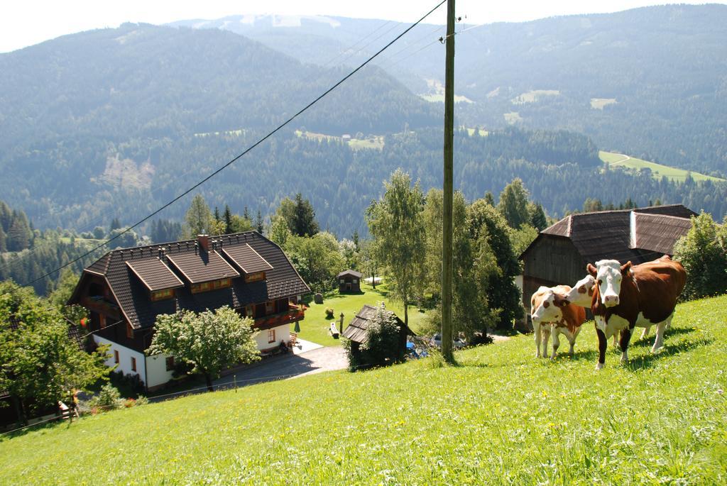 Ferienwohnung Lahnerhof Arriach Eksteriør billede